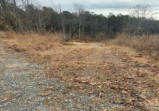 Homes for sale in Thurmond, NC | Tbd Old Railroad Grade Rd, Thurmond, NC 28683 | MLS# 4350591