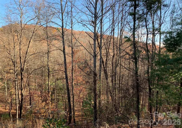 Photo 1 of Land for sale at Tbd (lot 4) Wolf Den Ln #4, Lenoir, NC 28645 | MLS# 4350783 | Listing updated on 2026-02-25
