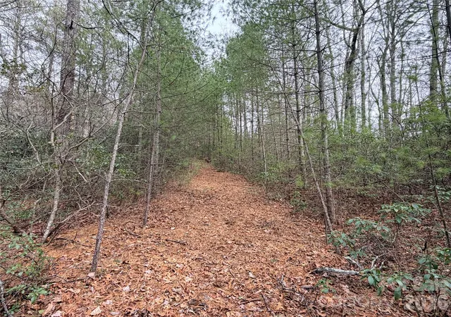 Photo 2 of Land for sale at Tbd (lot 4) Wolf Den Ln #4, Lenoir, NC 28645 | MLS# 4350783 | Listing updated on 2026-02-25