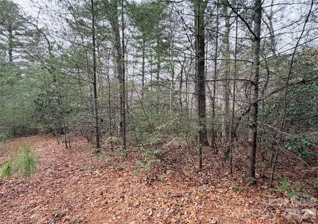 Photo 3 of Land for sale at Tbd (lot 4) Wolf Den Ln #4, Lenoir, NC 28645 | MLS# 4350783 | Listing updated on 2026-02-25