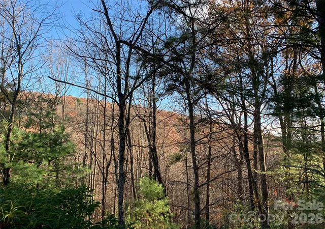 Photo 5 of Land for sale at Tbd (lot 4) Wolf Den Ln #4, Lenoir, NC 28645 | MLS# 4350783 | Listing updated on 2026-02-25