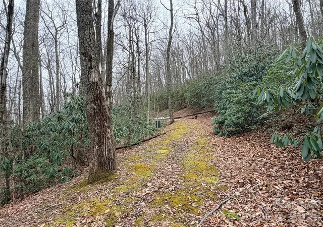 Photo 2 of Land for sale at Tbd (lot 19) Wolf Den Ln #19, Lenoir, NC 28645 | MLS# 4350791 | Listing updated on 2026-02-25