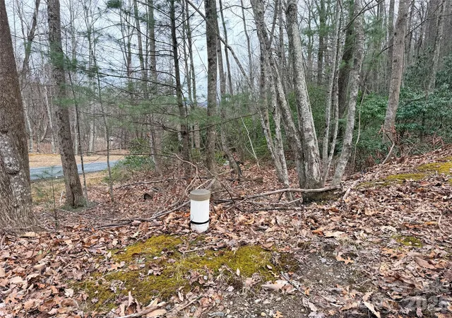 Photo 3 of Land for sale at Tbd (lot 19) Wolf Den Ln #19, Lenoir, NC 28645 | MLS# 4350791 | Listing updated on 2026-02-25