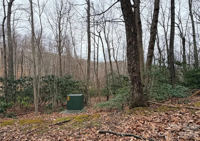 Photo 4 of Land for sale at Tbd (lot 19) Wolf Den Ln #19, Lenoir, NC 28645 | MLS# 4350791 | Listing updated on 2026-02-25