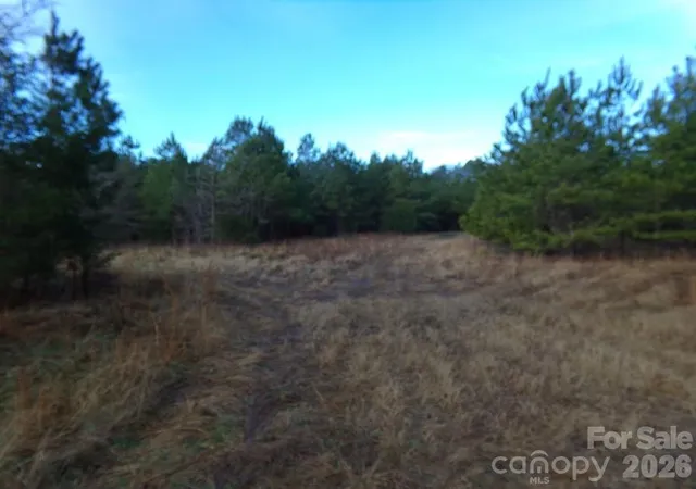 Photo 3 of Land for sale at 104 Ac Cedarhurst Rd, Chester, SC 29706 | MLS# 4350898 | Listing updated on 2026-06-02