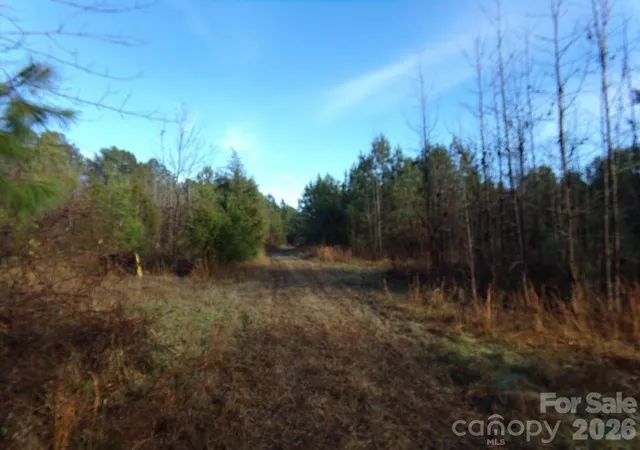Photo 4 of Land for sale at 104 Ac Cedarhurst Rd, Chester, SC 29706 | MLS# 4350898 | Listing updated on 2026-06-02