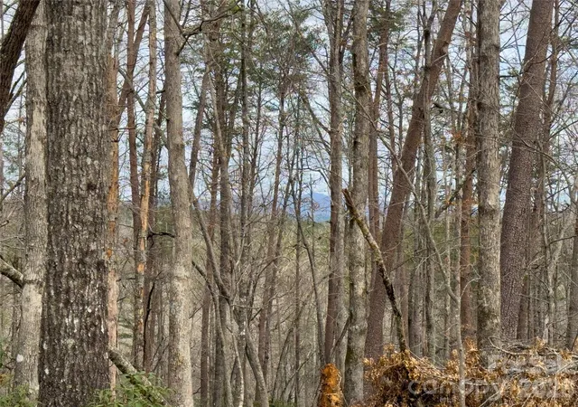 1st image of Lots 4 7 Carmel Rdg, Rutherfordton, NC 28139 | MLS# 4351855