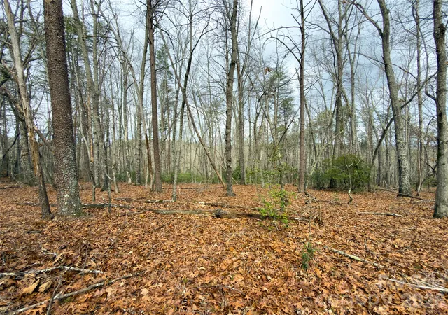 3rd image of Lots 4-7 Carmel Rdg, Rutherfordton, NC 28139 | MLS# 4351855