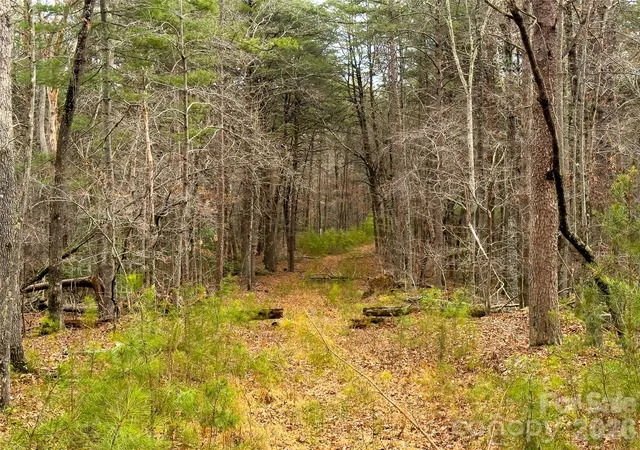 4th image of Lots 4-7 Carmel Rdg, Rutherfordton, NC 28139 | MLS# 4351855