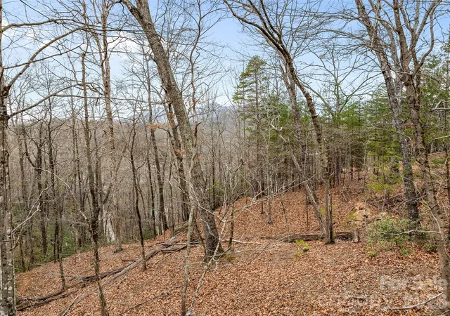 16th image of 0 Buffalo Shoals Rd #Tract IV, Lot 25, Lake Lure, NC 28746 | MLS# 4351906