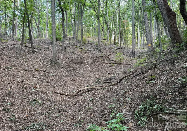3rd image of 0 Hildebran Mountain Ave, Connelly Springs, NC 28612 | MLS# 4351964