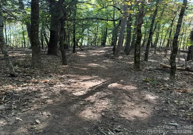 34th image of 0 Hildebran Mountain Ave, Connelly Springs, NC 28612 | MLS# 4351964