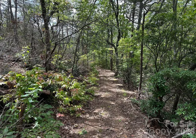 4th image of 0 Hildebran Mountain Ave, Connelly Springs, NC 28612 | MLS# 4351964
