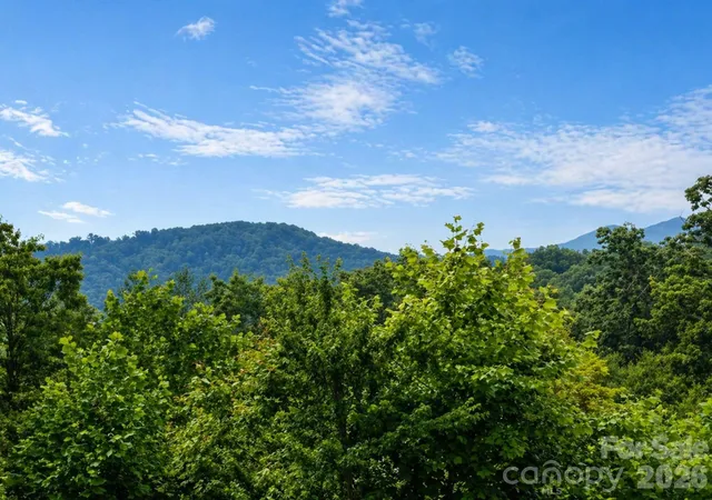 Photo 4 of Townhouse for sale at 73 Dalya Rd, Swannanoa, NC 28778 | MLS# 4352117 | Listing updated on 2026-09-25