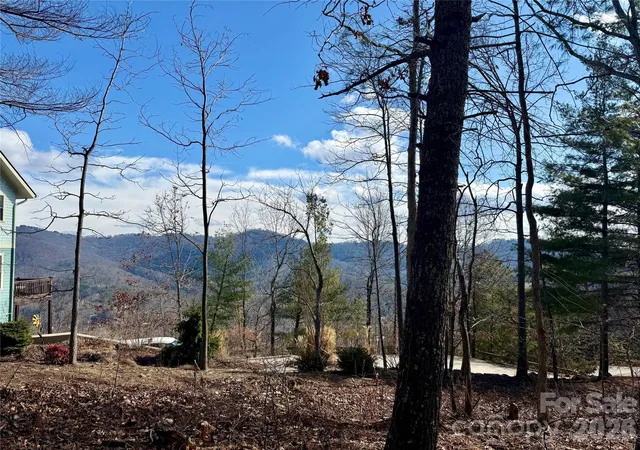 2nd image of 000 Rambling Ridge Rd #16, Asheville, NC 28804 | MLS# 4352633