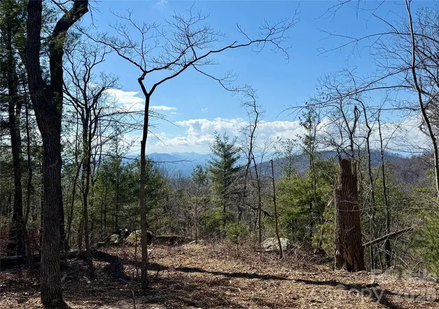 3rd image of 000 Rambling Ridge Rd #16, Asheville, NC 28804 | MLS# 4352633