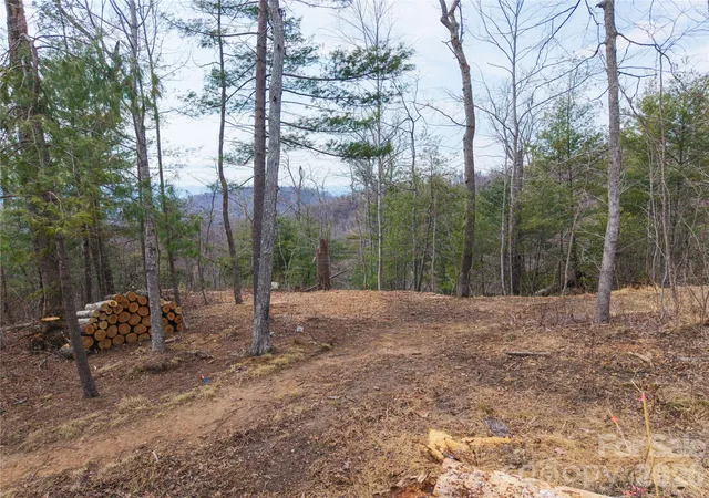 4th image of 000 Rambling Ridge Rd #16, Asheville, NC 28804 | MLS# 4352633