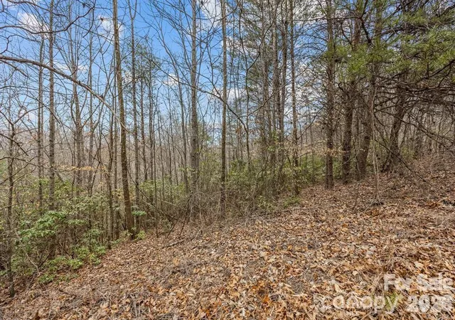 Photo 4 of Land for sale at Lot 106 Glenhaven Dr, Marion, NC 28752 | MLS# 4352940 | Listing updated on 2026-09-01