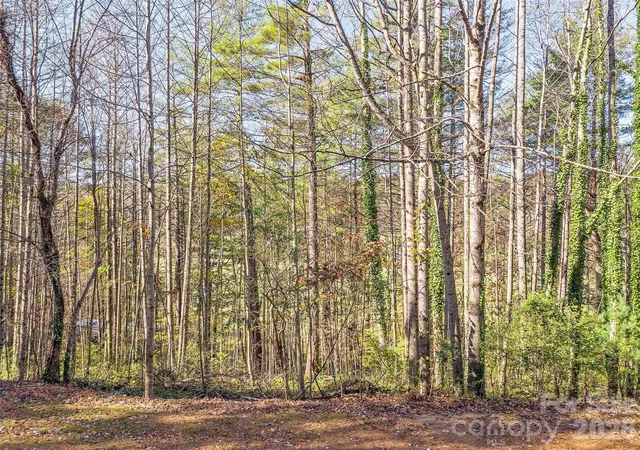 Photo 4 of Land for sale at Lots 14 & 15 Mountain Lake Dr, Hendersonville, NC 28739 | MLS# 4352957 | Listing updated on 2026-03-05