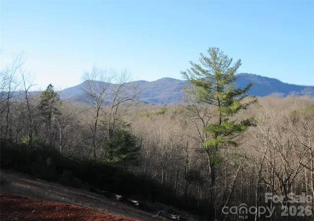 1st image of 0 Levi Rd, Columbus, NC 28722 | MLS# 4353900