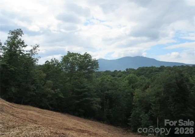 2nd image of 0 Levi Rd, Columbus, NC 28722 | MLS# 4353900