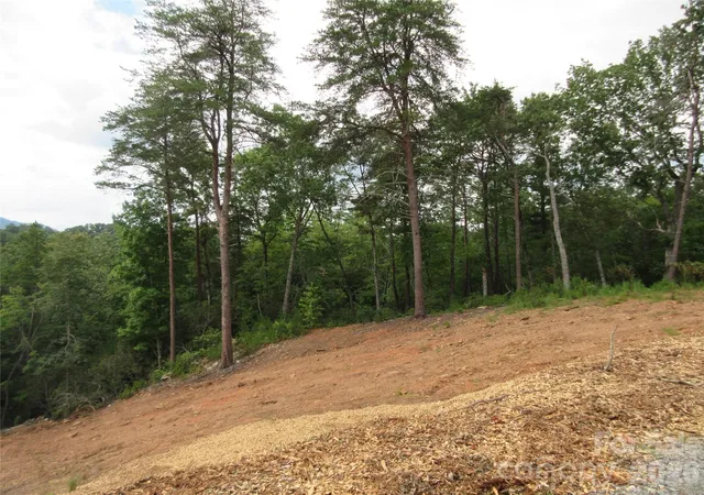 3rd image of 0 Levi Rd, Columbus, NC 28722 | MLS# 4353900