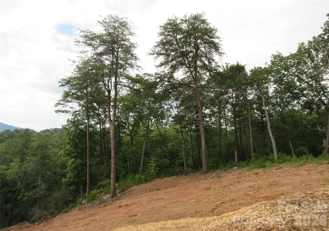 4th image of 0 Levi Rd, Columbus, NC 28722 | MLS# 4353900
