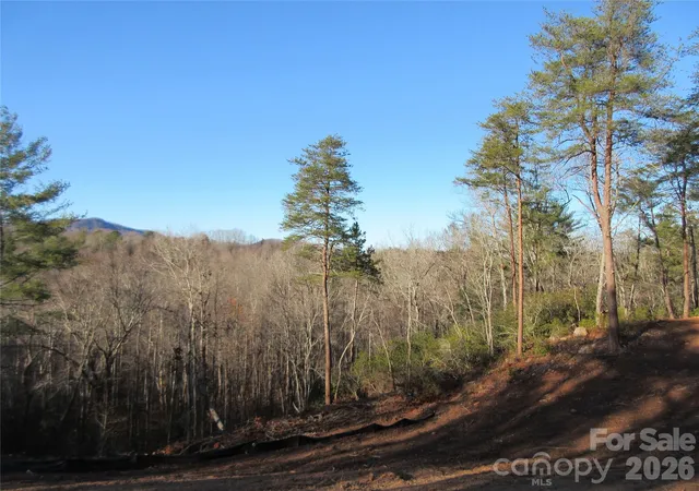 48th image of 0 Levi Rd, Columbus, NC 28722 | MLS# 4353900