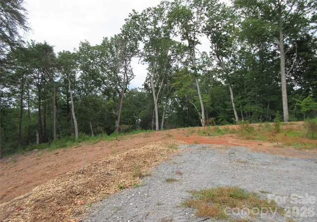 5th image of 0 Levi Rd, Columbus, NC 28722 | MLS# 4353900
