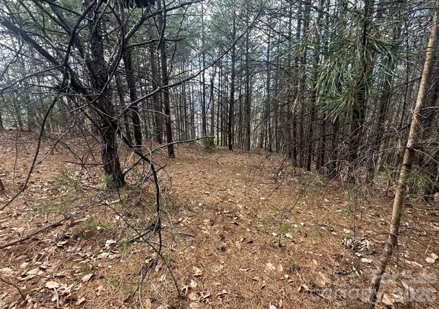 3rd image of 0000 Boulder Rdg, Lake Lure, NC 28746 | MLS# 4353908