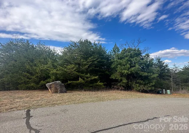 4th image of 0000 Boulder Rdg, Lake Lure, NC 28746 | MLS# 4353908