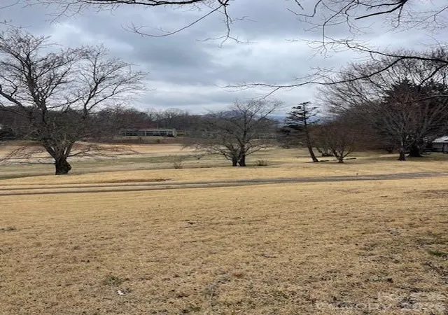 2nd image of 598 Buffalo Creek Rd, Lake Lure, NC 28746 | MLS# 4353911