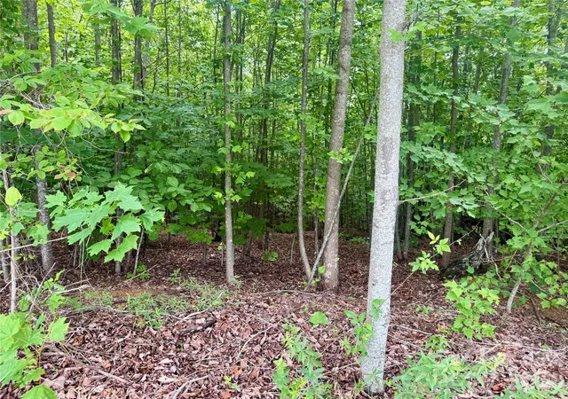 Homes for sale in Nebo, NC | V/L Scenic Vista Dr #248, Nebo, NC 28761 | MLS# 4354023