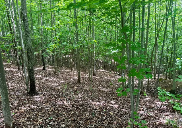 Homes for sale in Nebo, NC | V/L Scenic Vista Dr #248, Nebo, NC 28761 | MLS# 4354023