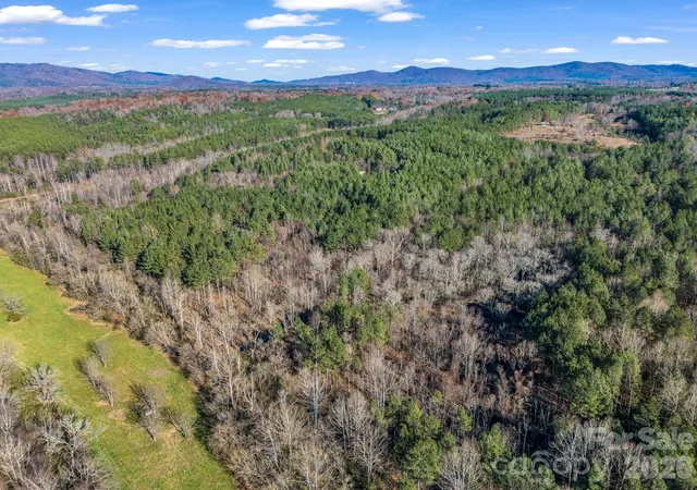 5th image of 0 Farmer Johns Trl #9, Rutherfordton, NC 28139 | MLS# 4354063