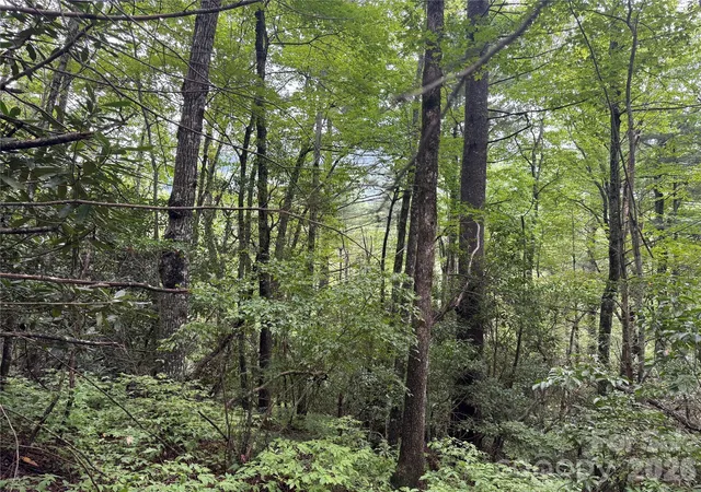 Photo 2 of Land for sale at 66 W Christy Trl, Sapphire, NC 28774 | MLS# 4354073 | Listing updated on 2026-09-21