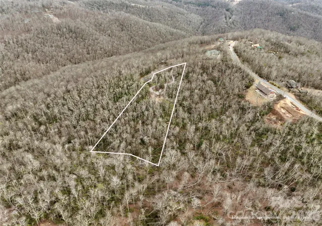 Homes for sale in Little Switzerland, NC | 87 Trails End Rd #28, Little Switzerland, NC 28749 | MLS# 4354113