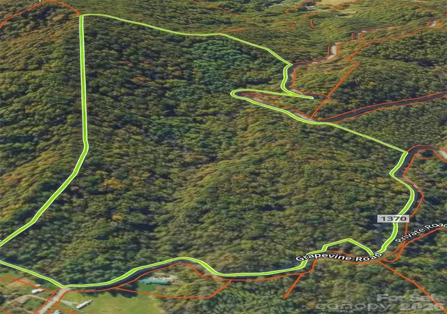17th image of 0000 Grapevine Rd, Marshall, NC 28753 | MLS# 4354131