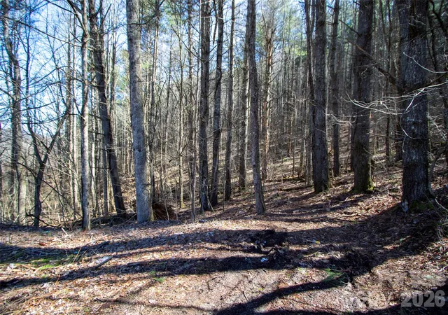 2nd image of 0000 Grapevine Rd, Marshall, NC 28753 | MLS# 4354131