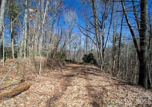 3rd image of 0000 Grapevine Rd, Marshall, NC 28753 | MLS# 4354131