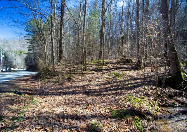 4th image of 0000 Grapevine Rd, Marshall, NC 28753 | MLS# 4354131
