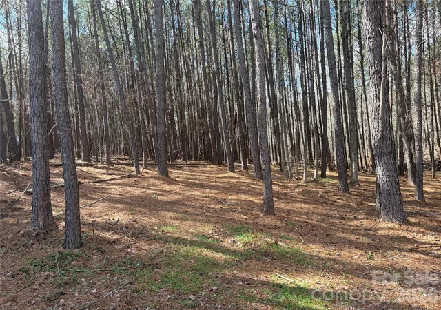 Homes for sale in Oakboro, NC | Tbd Makayla Dr, Oakboro, NC 28129 | MLS# 4354230