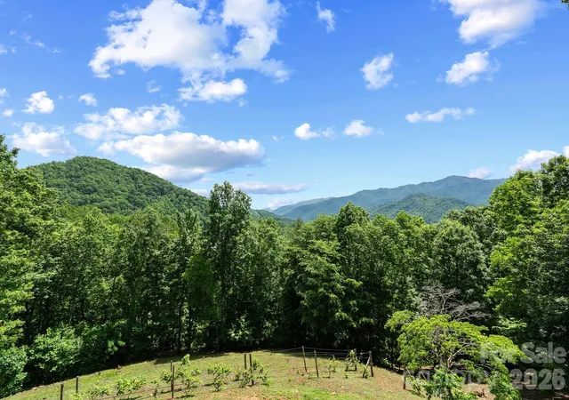 45th image of 60 Little Creek Dr, Canton, NC 28716 | MLS# 4354255