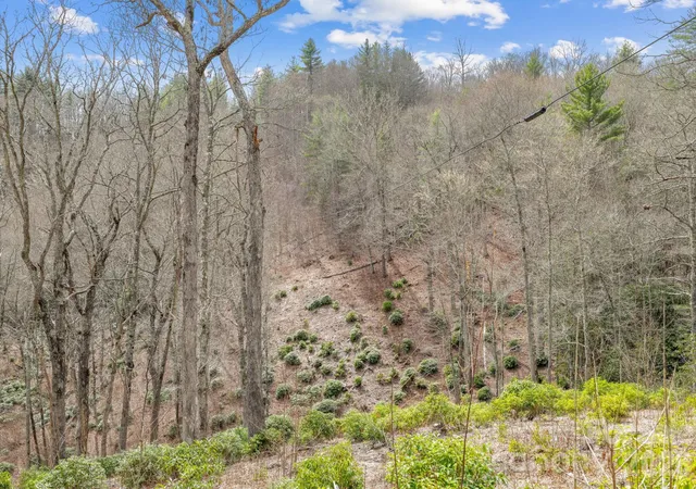 Homes for sale in Glenville, NC | 580 N Robinson Creek Rd, Glenville, NC 28736 | MLS# 4354452