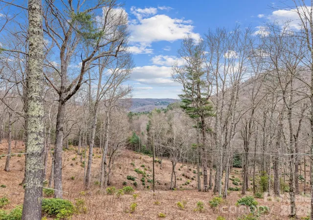 Homes for sale in Glenville, NC | 580 N Robinson Creek Rd, Glenville, NC 28736 | MLS# 4354452