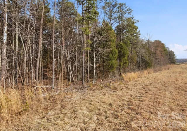 14th image of 00 Mccorkle Ln, Sherrills Ford, NC 28673 | MLS# 4354906