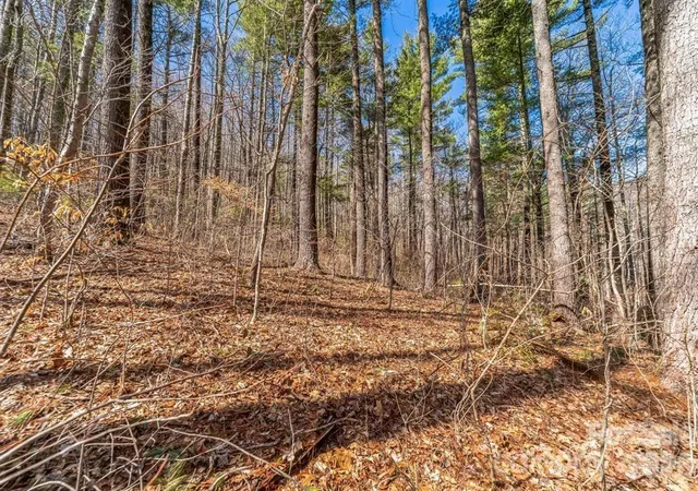 3rd image of 99999 Parker Rd, Asheville, NC 28805 | MLS# 4355183