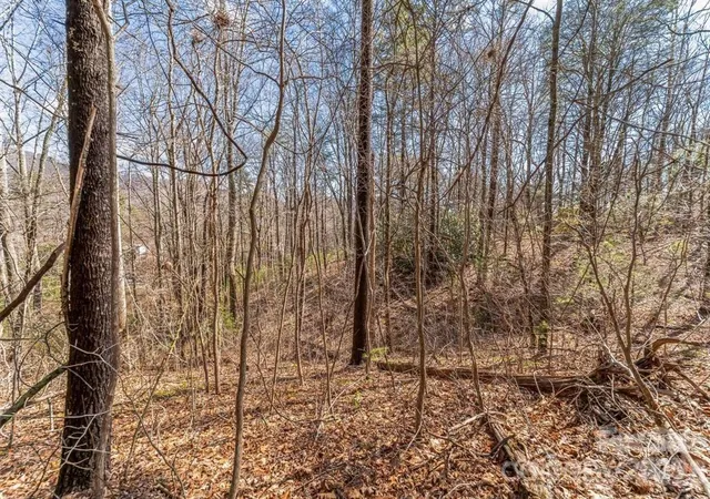 4th image of 99999 Parker Rd, Asheville, NC 28805 | MLS# 4355183