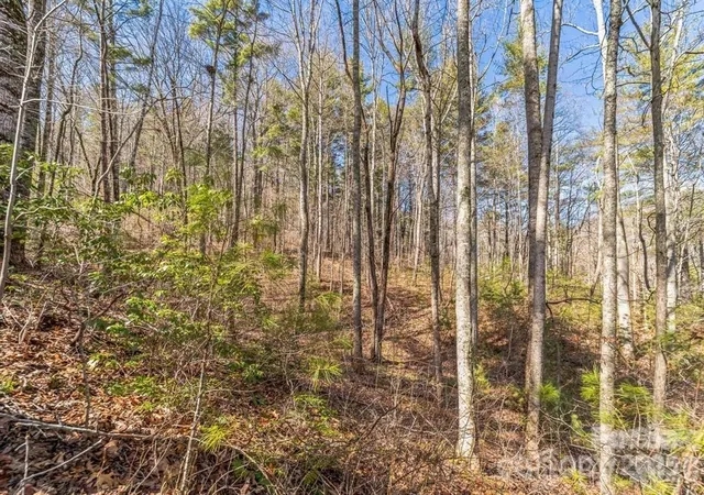 5th image of 99999 Parker Rd, Asheville, NC 28805 | MLS# 4355183