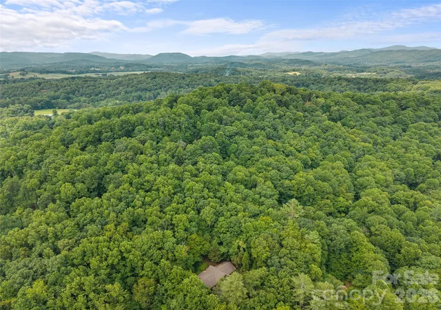 Homes for sale in Horse Shoe, NC | 6 Ravenwood Ln, Horse Shoe, NC 28742 | MLS# 4355632